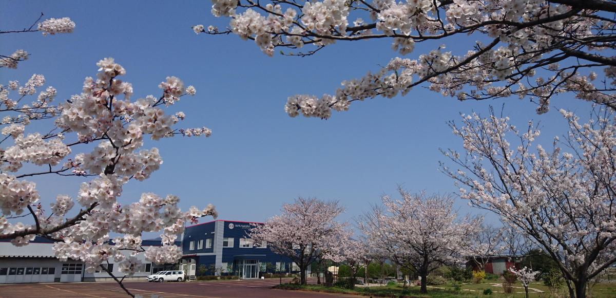 中村ターンテック会社全景